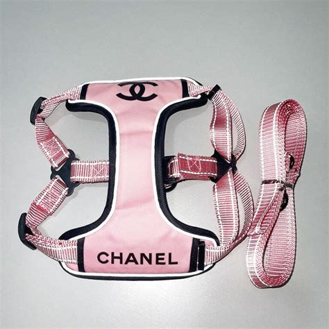 chanel dog clothes uk|purrfect Chanel dog.